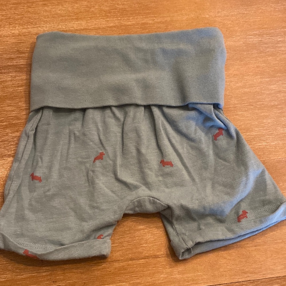 Kate Quinn & Little Liam dachshund yoga shorts
